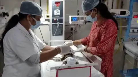 Infant Placed Living in the Country Battles for Her Life